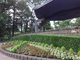 A well-maintained garden with neatly arranged flower beds featuring vibrant green bushes and various colored blooms. The scene is framed by a backdrop of tall, lush trees. To the right, a modern, angular structure with a dark, overhanging roof creates a contrast with the natural surroundings.