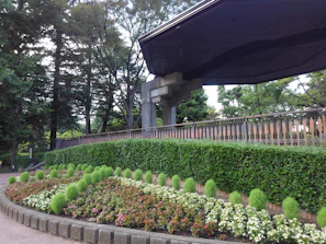 Before and after shots of a backyard garden remodeling transitioning from overgrown to neat and vibrant.