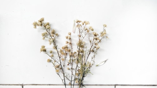 Several dried flowers with small buds are arranged against a plain white wall. The flowers are slightly wilted and have a pale, beige color. A few leaves and small twigs are intertwined with the flowers.