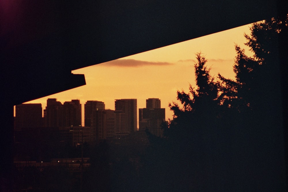 silhouette of trees and buildings during sunset