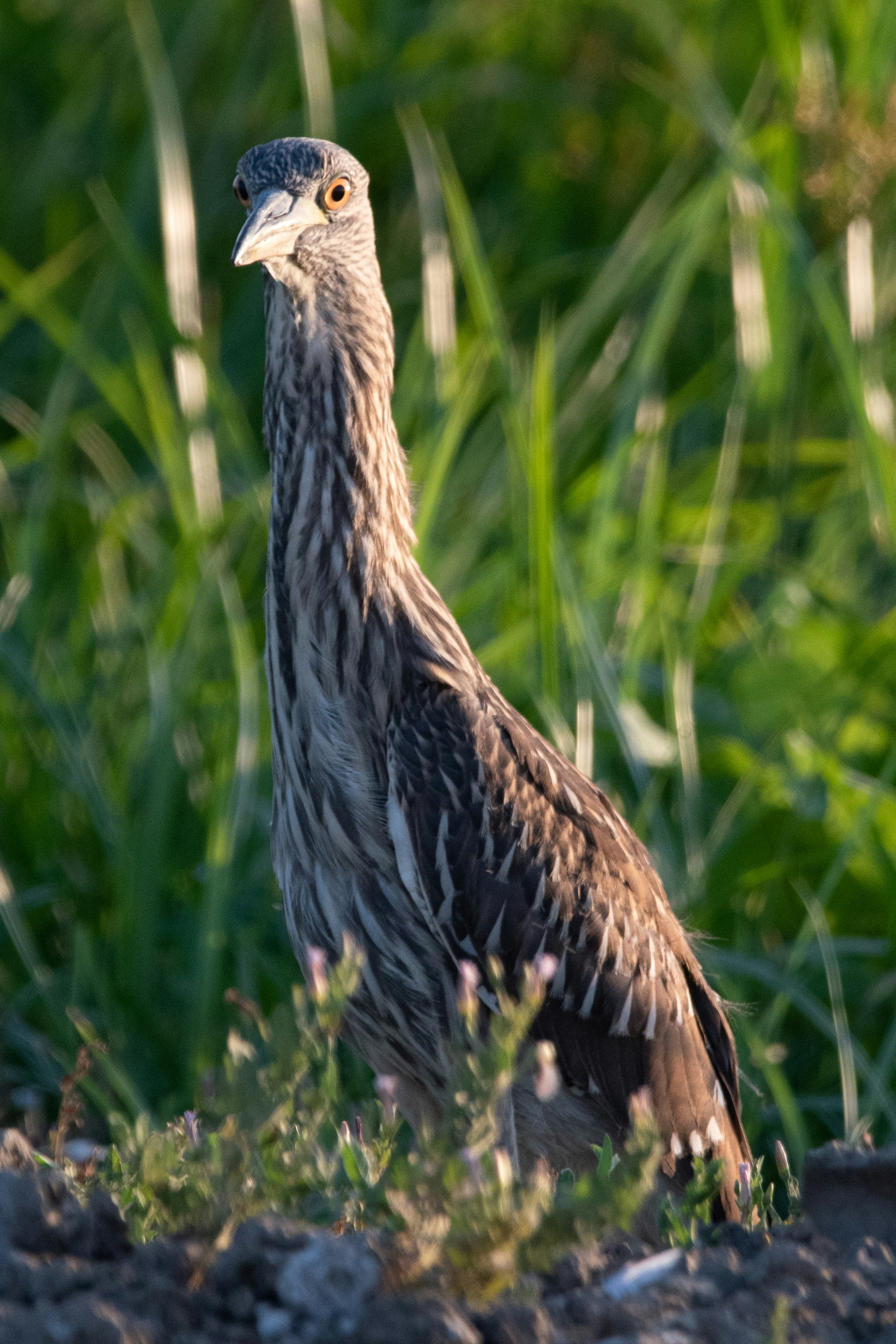 Photo by elisastonephotography