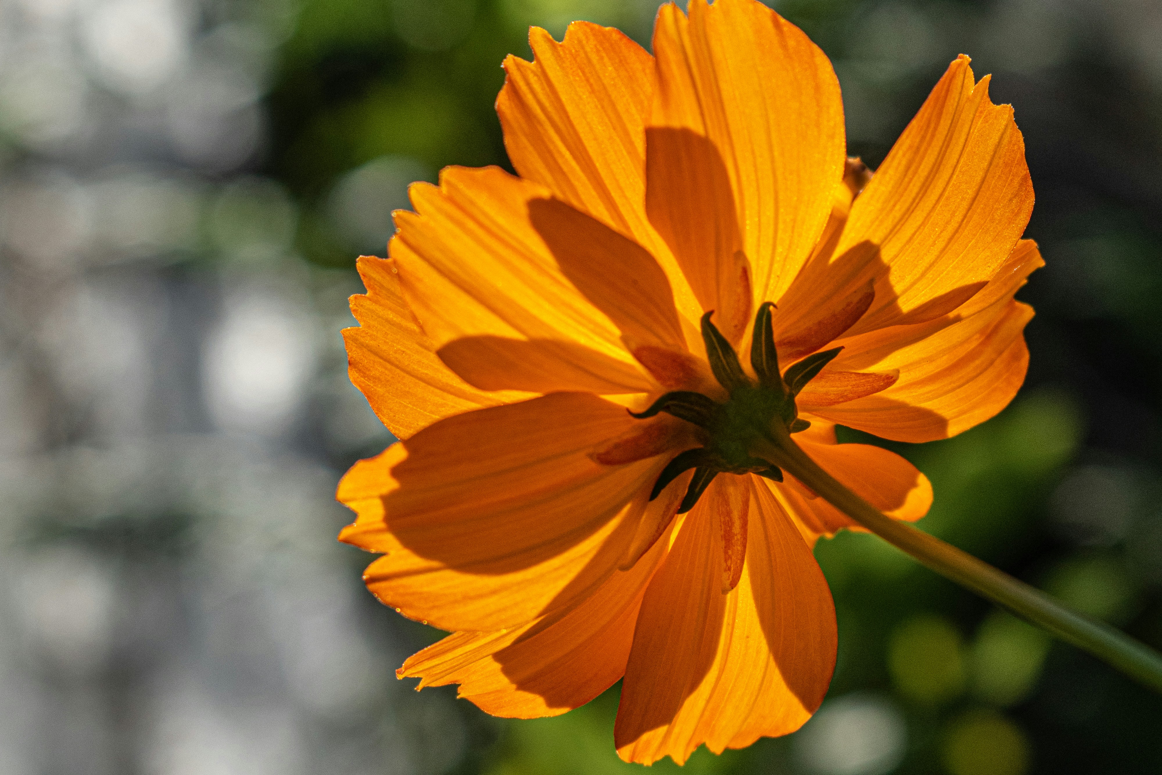 Photo by elisastonephotography