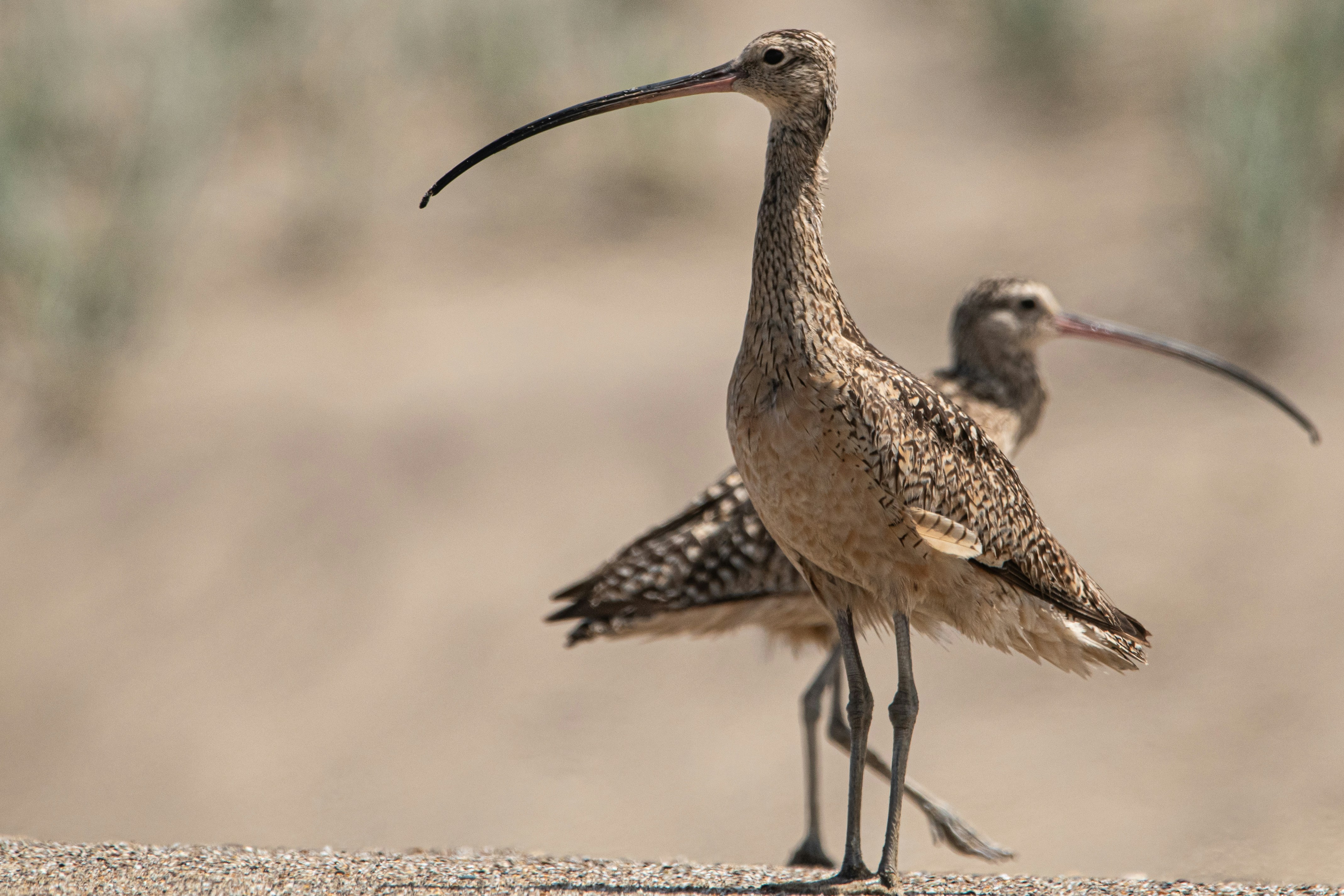 Photo by elisastonephotography