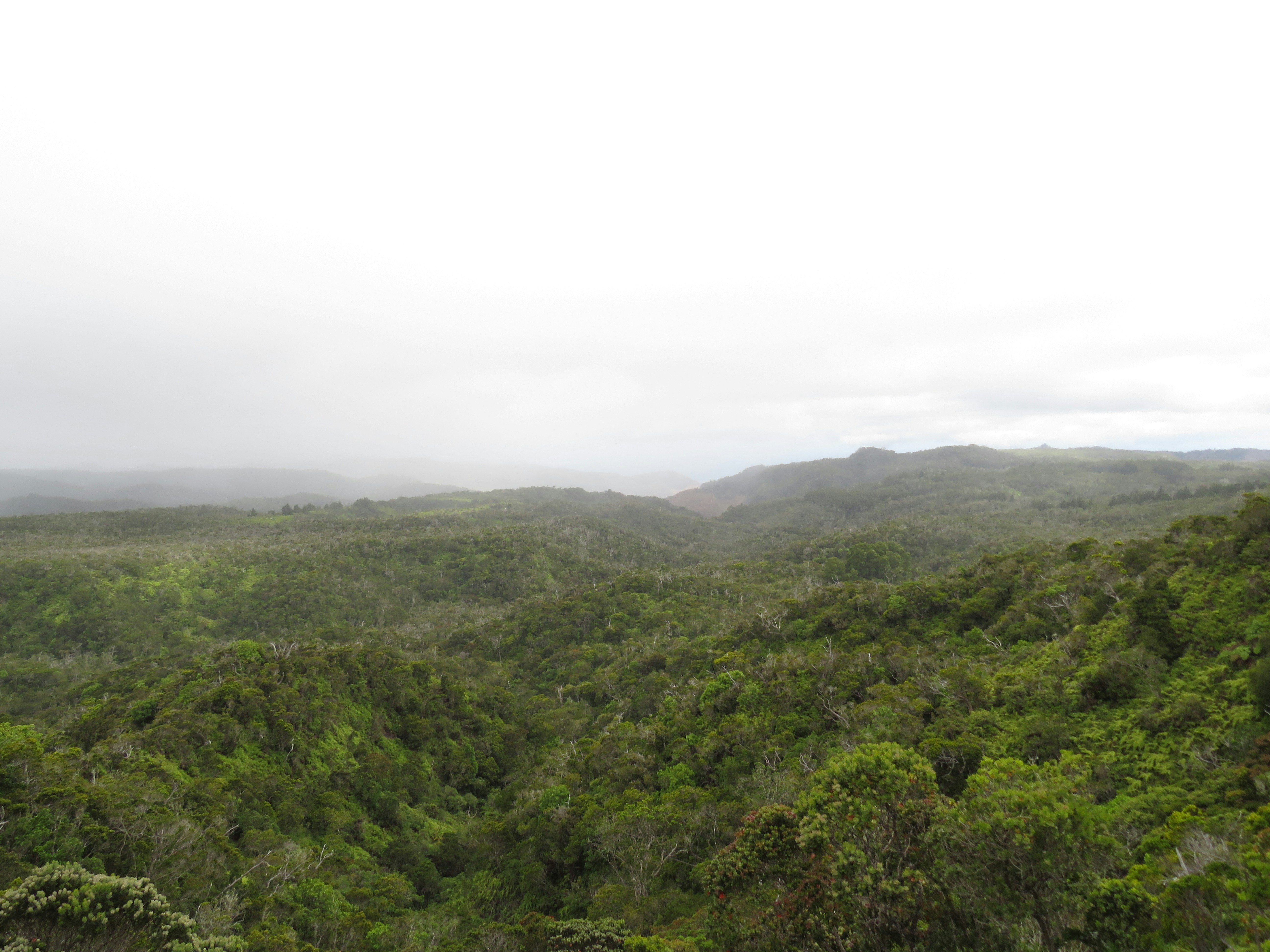 Photo by davidlangfyi