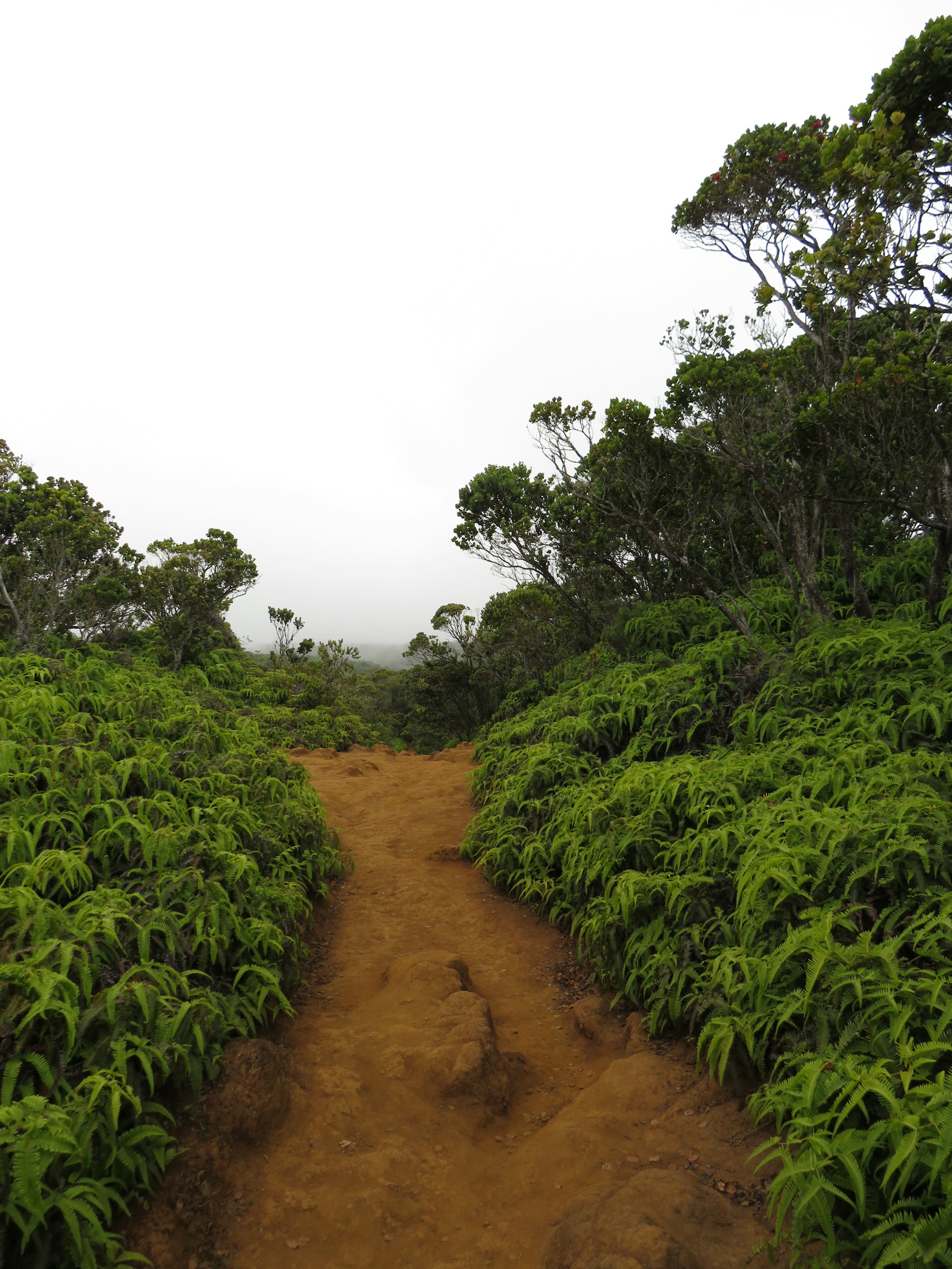 gray computer monitor