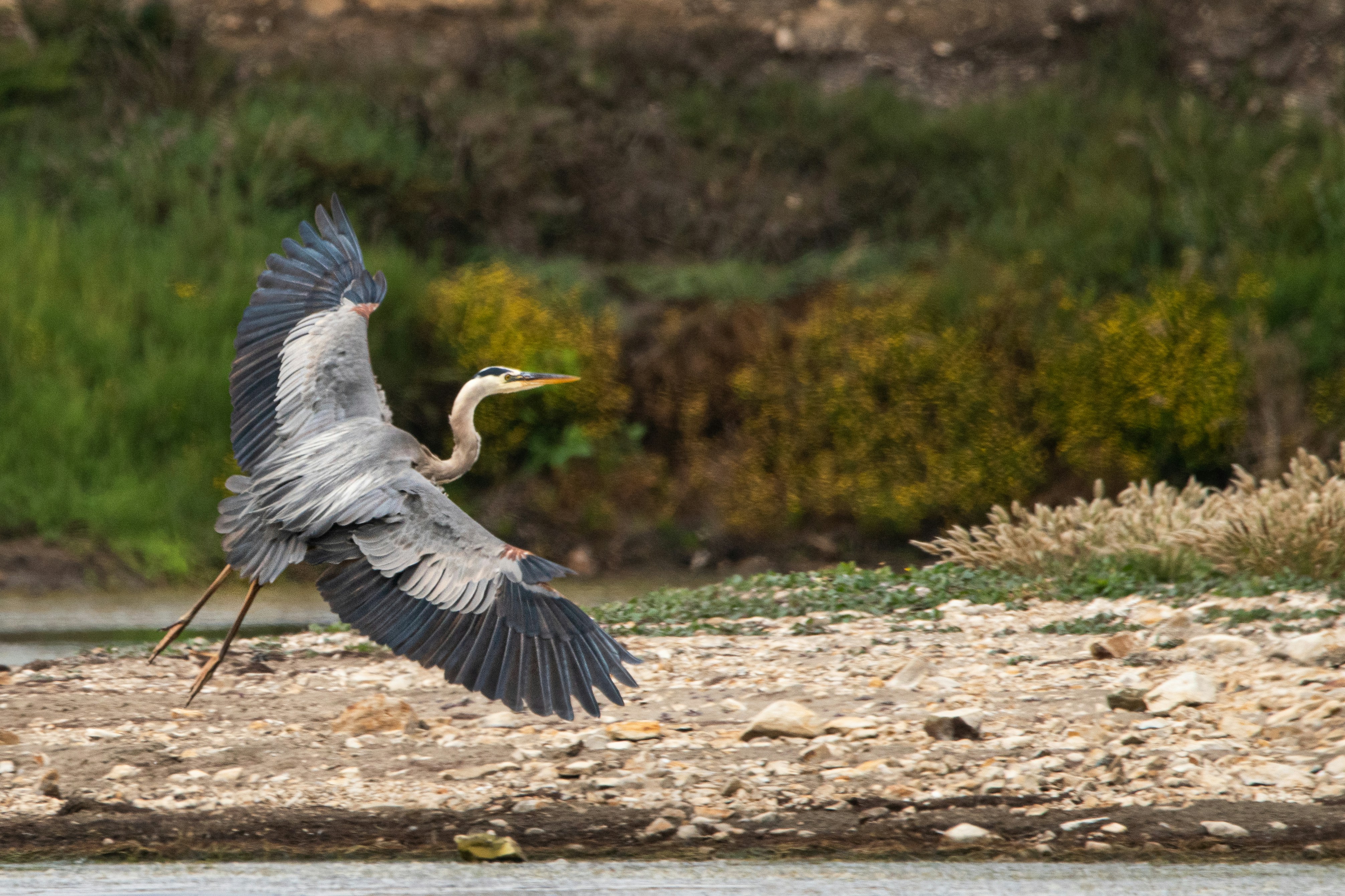 Photo by elisastonephotography