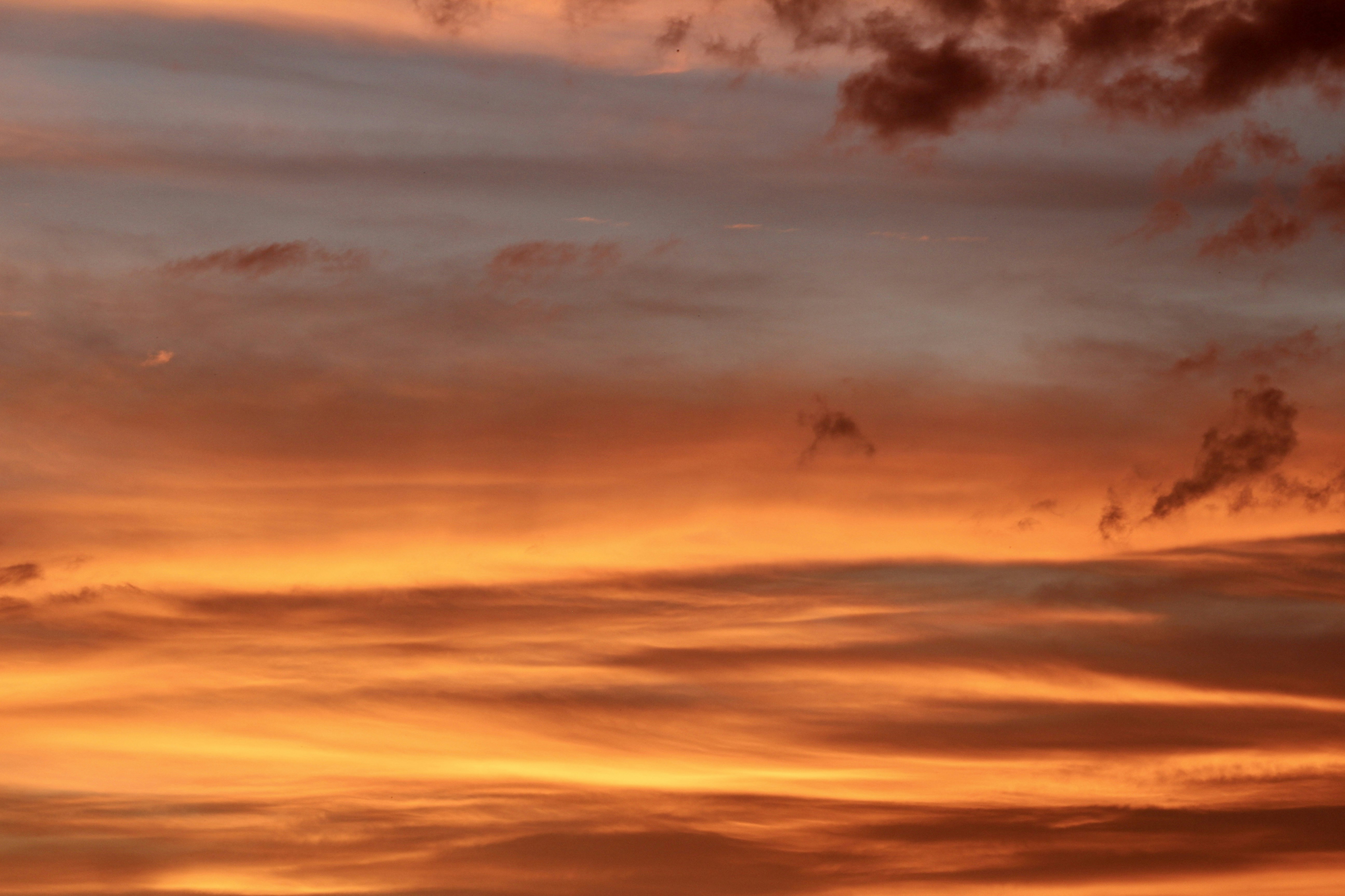 Photo by covershotsphotos