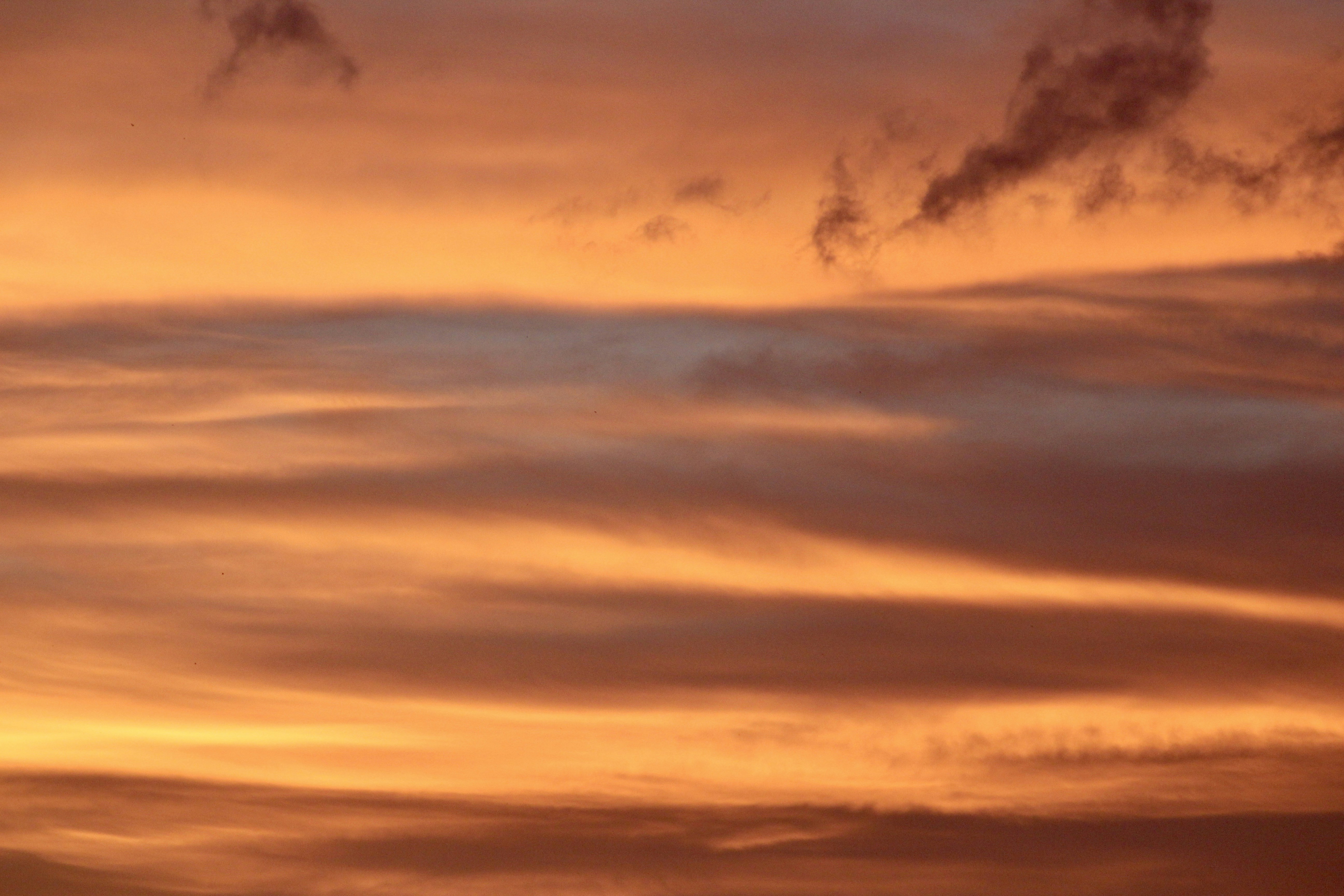 Photo by covershotsphotos