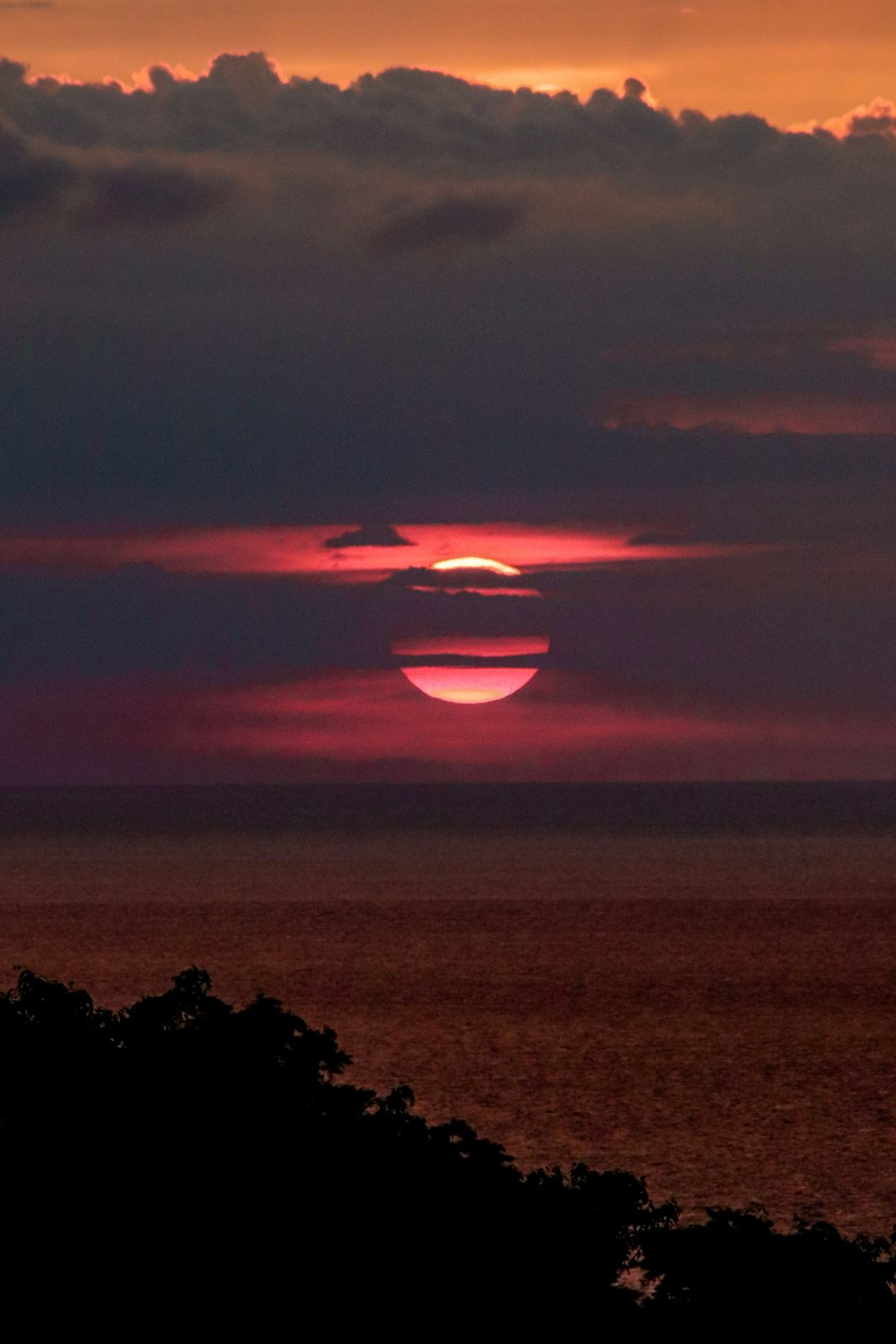 silhouette of trees during sunset