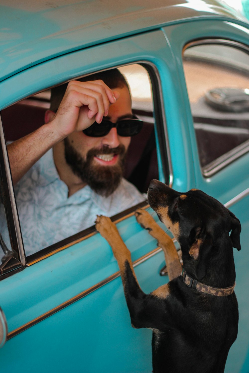 man in black sunglasses holding black and brown short coated dog