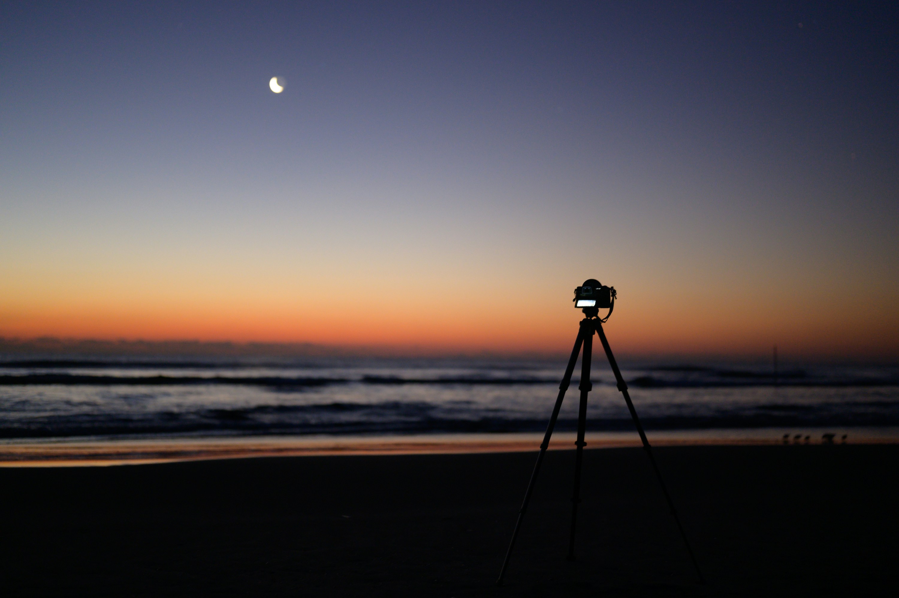 Black camera on tripod on beach during sunset photo – Free Wallpaper ...