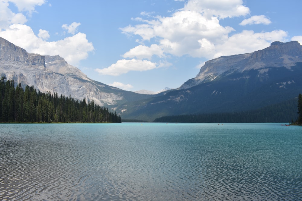 green trees near body of water and mountain under blue sky during daytime