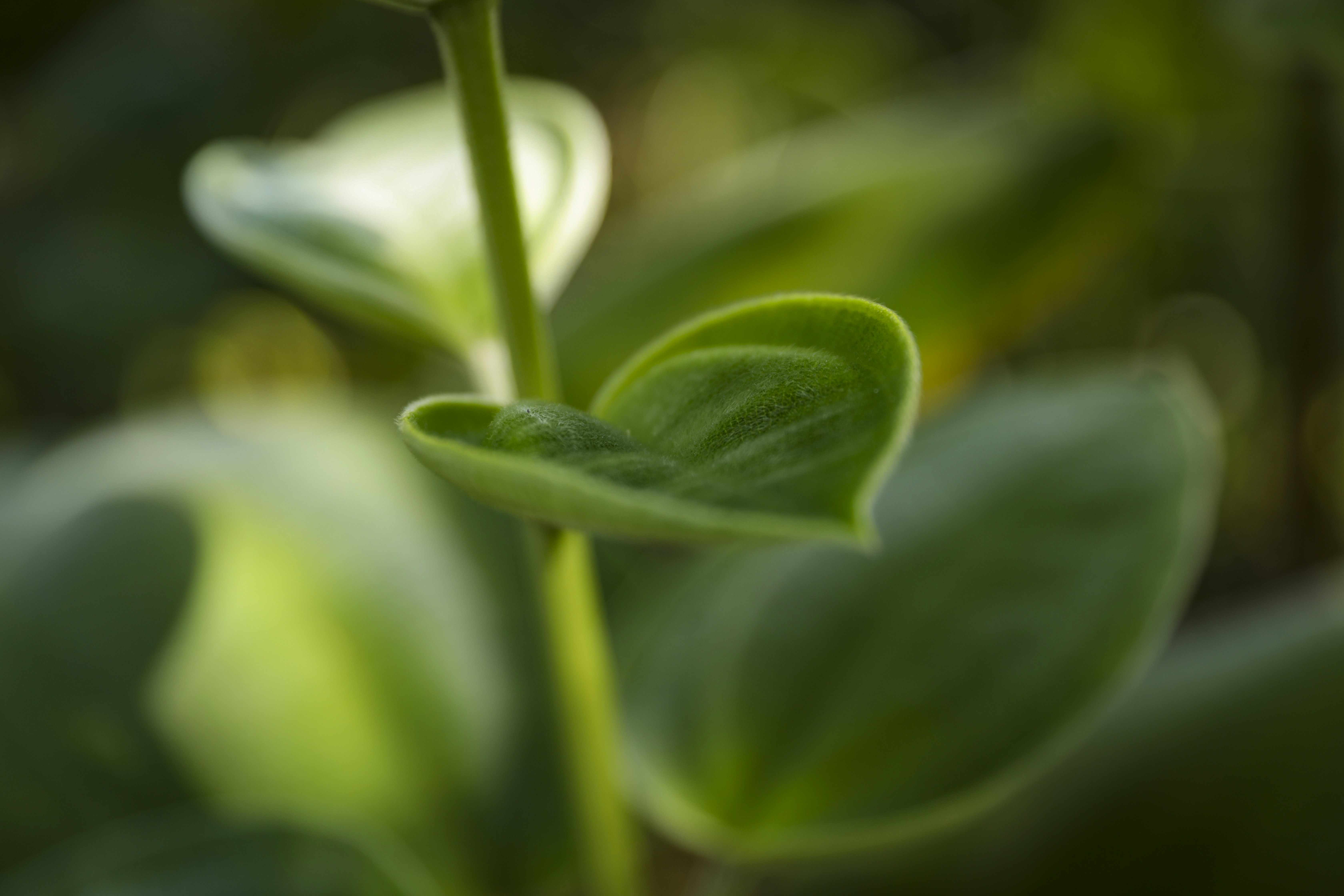 Photo by rocinante_11