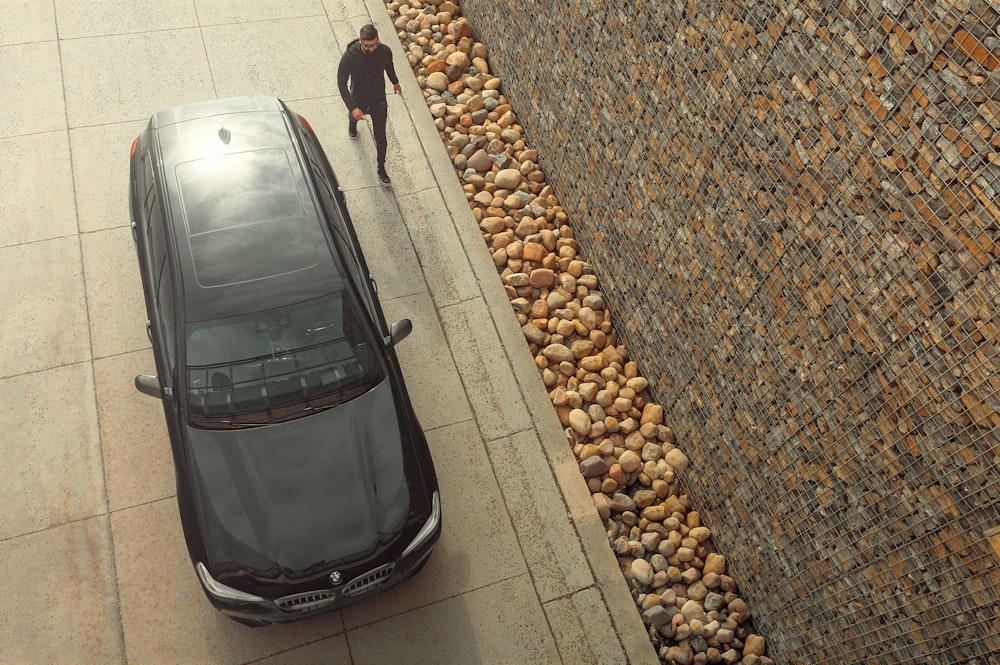 black car parked beside brown dog