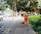 A person in an orange uniform and straw hat is cleaning a sidewalk with a broom. The walkway is lined with lush green bushes and large trees provide shade. Vehicles are parked by the roadside. Construction workers are visible further down the walkway with signage placed nearby, indicating an ongoing operation.
