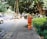 A person in an orange uniform and straw hat is cleaning a sidewalk with a broom. The walkway is lined with lush green bushes and large trees provide shade. Vehicles are parked by the roadside. Construction workers are visible further down the walkway with signage placed nearby, indicating an ongoing operation.