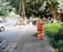 A person in an orange uniform and straw hat is cleaning a sidewalk with a broom. The walkway is lined with lush green bushes and large trees provide shade. Vehicles are parked by the roadside. Construction workers are visible further down the walkway with signage placed nearby, indicating an ongoing operation.