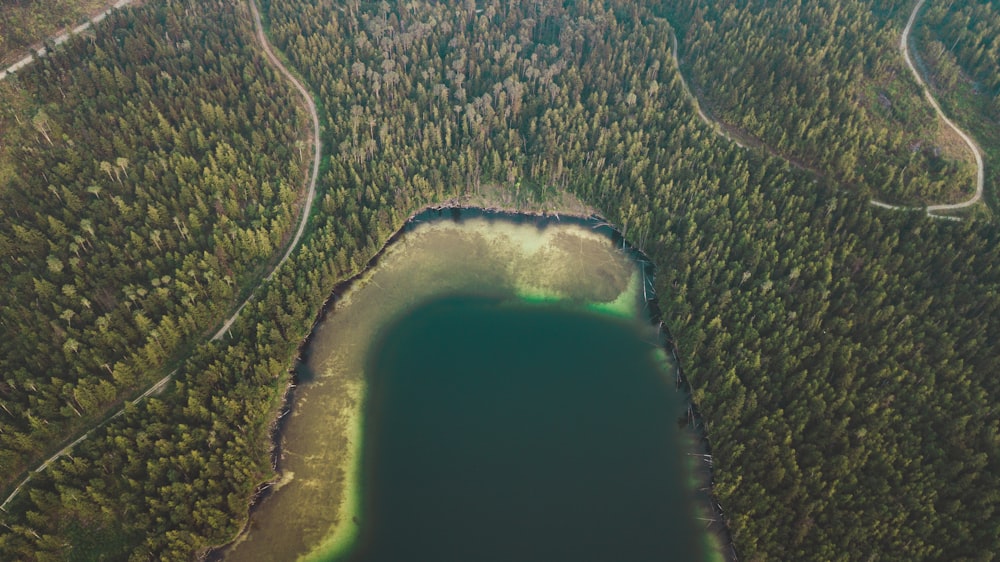 aerial view of green and brown land