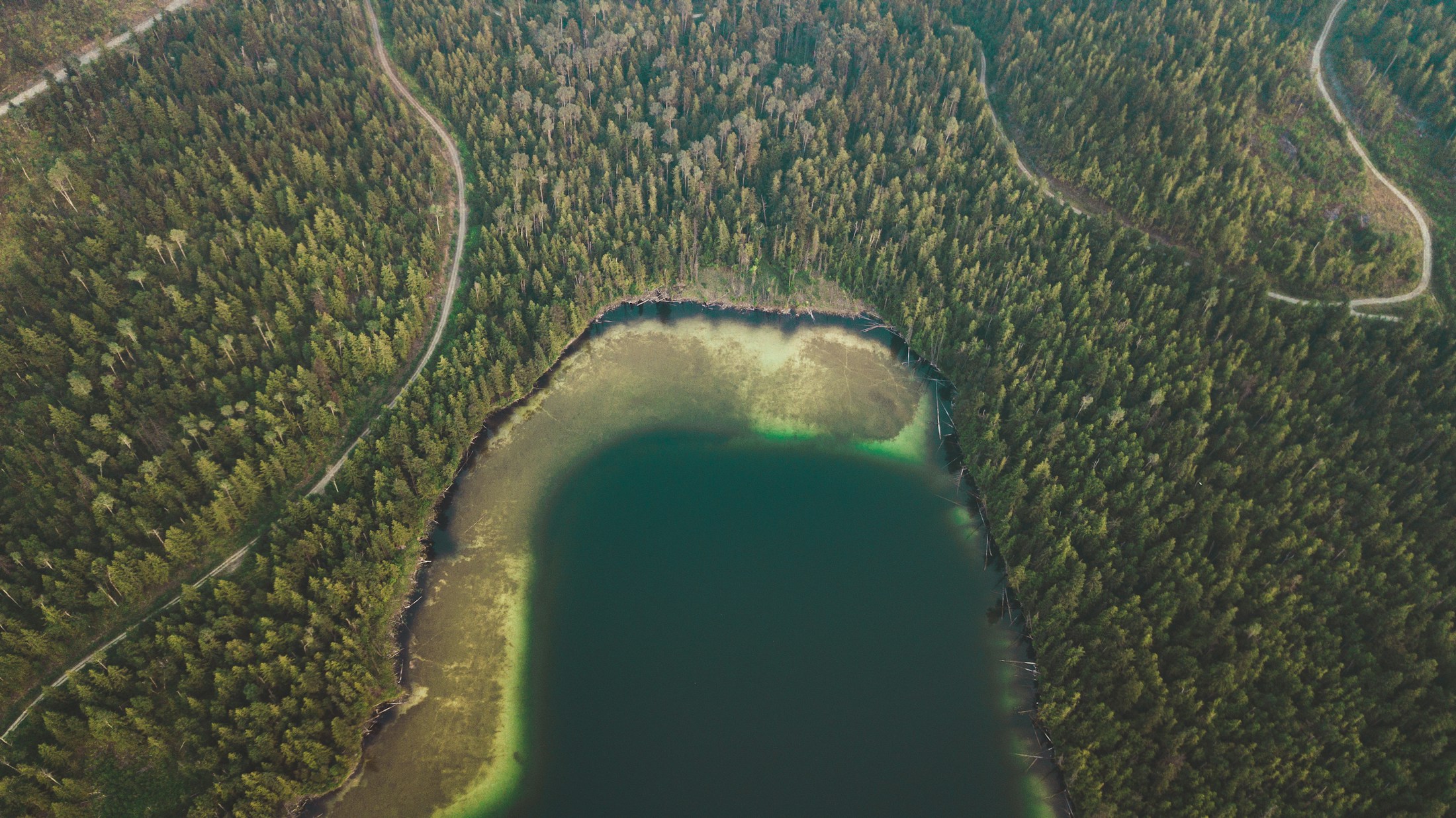 Protected lake enclosed by forest, seen from above