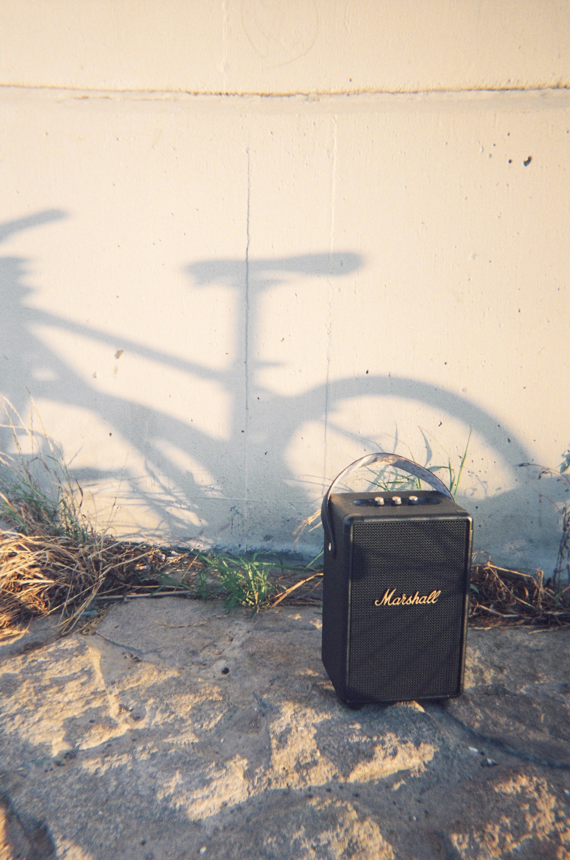 black speaker on brown dried leaves