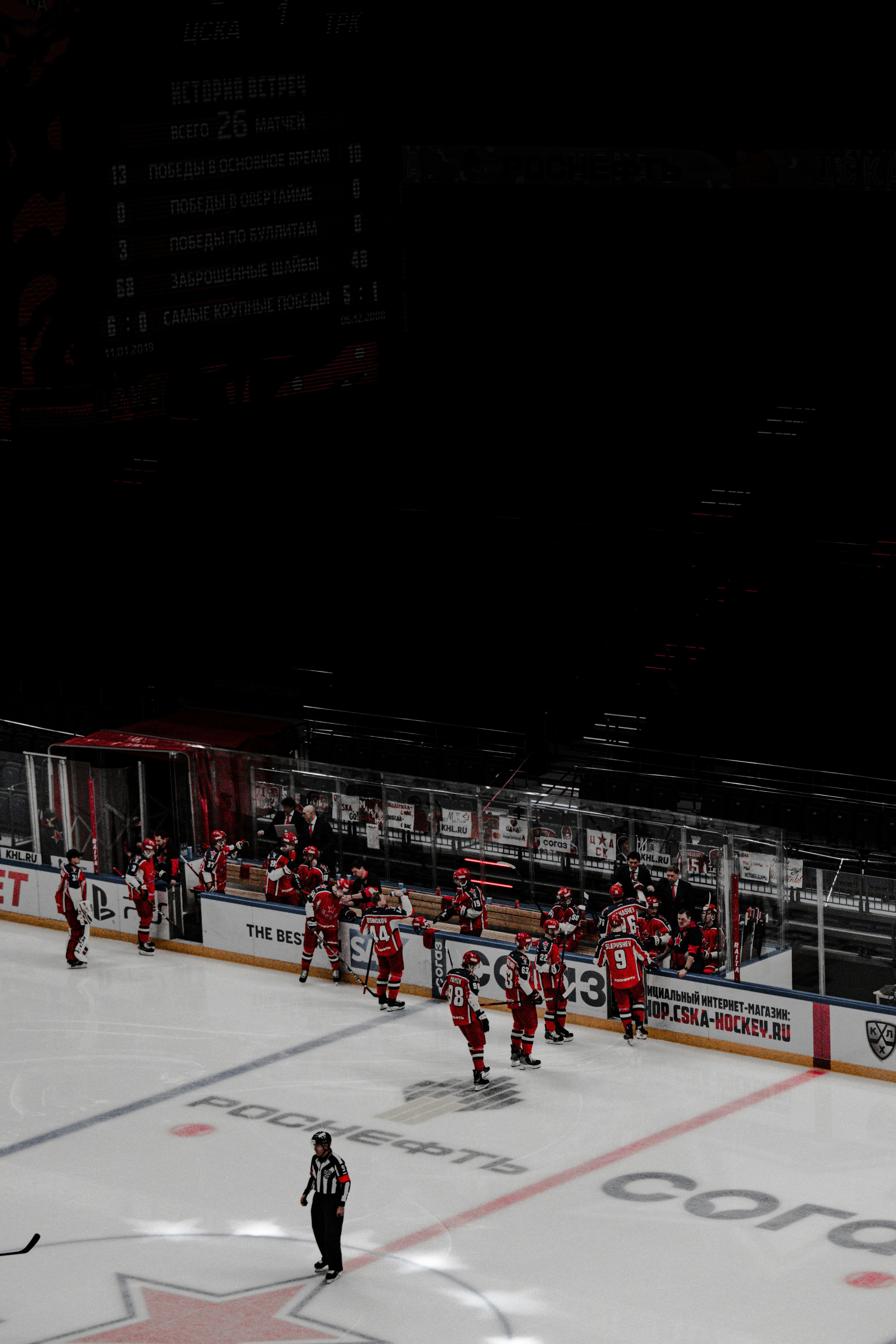 people in ice hockey stadium