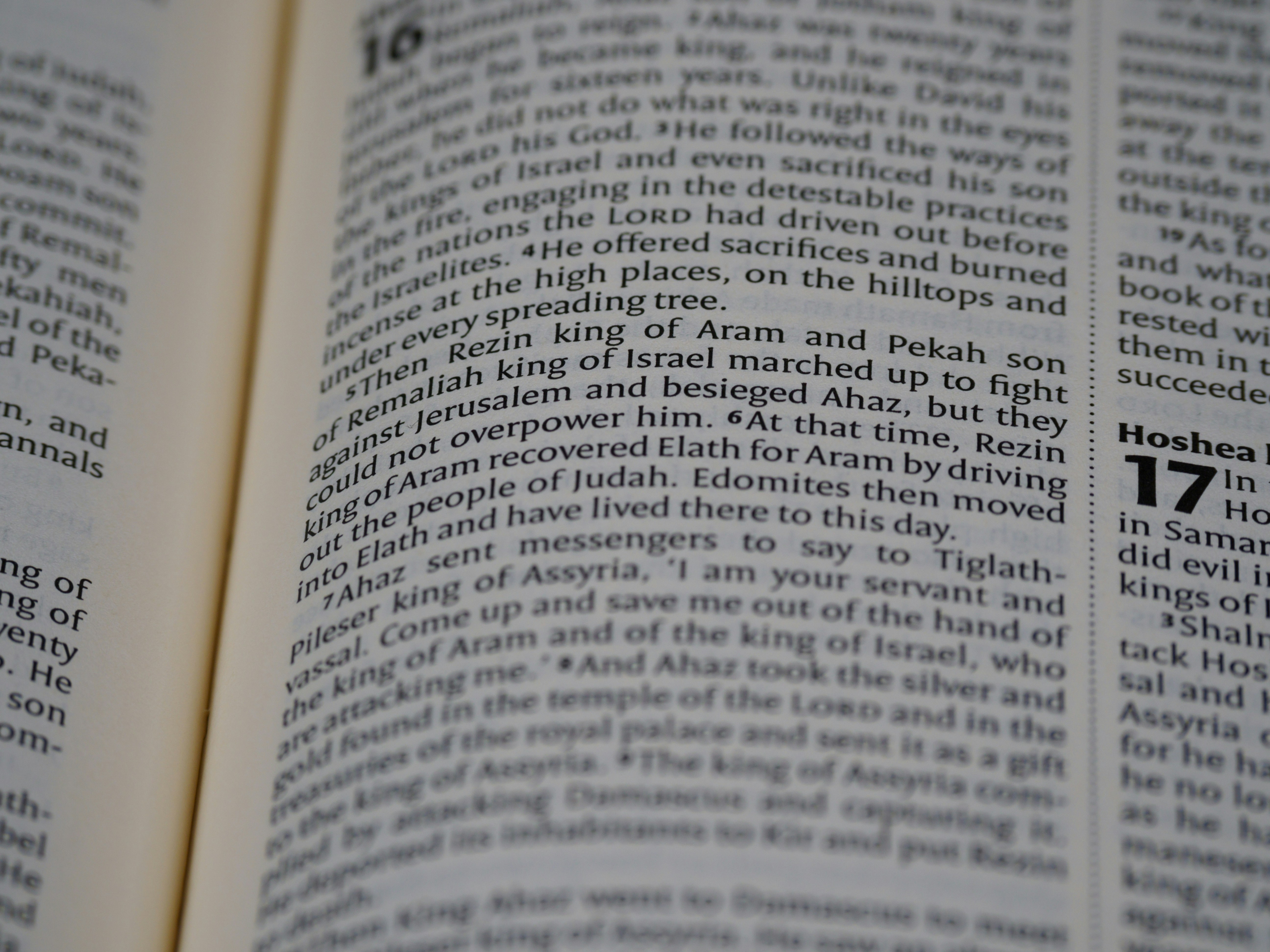 Photo by brett_jordan