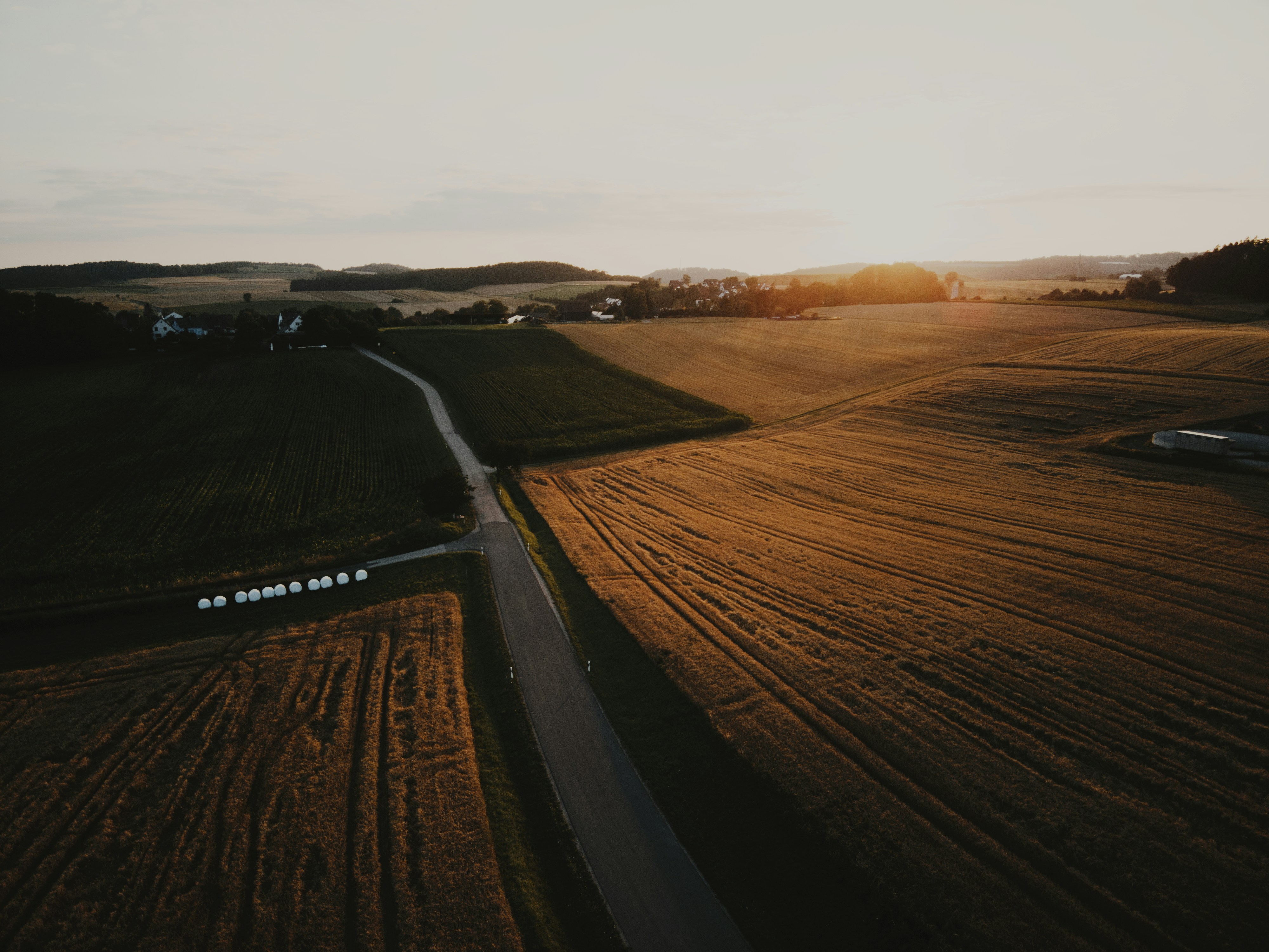 Photo by meister_stamm