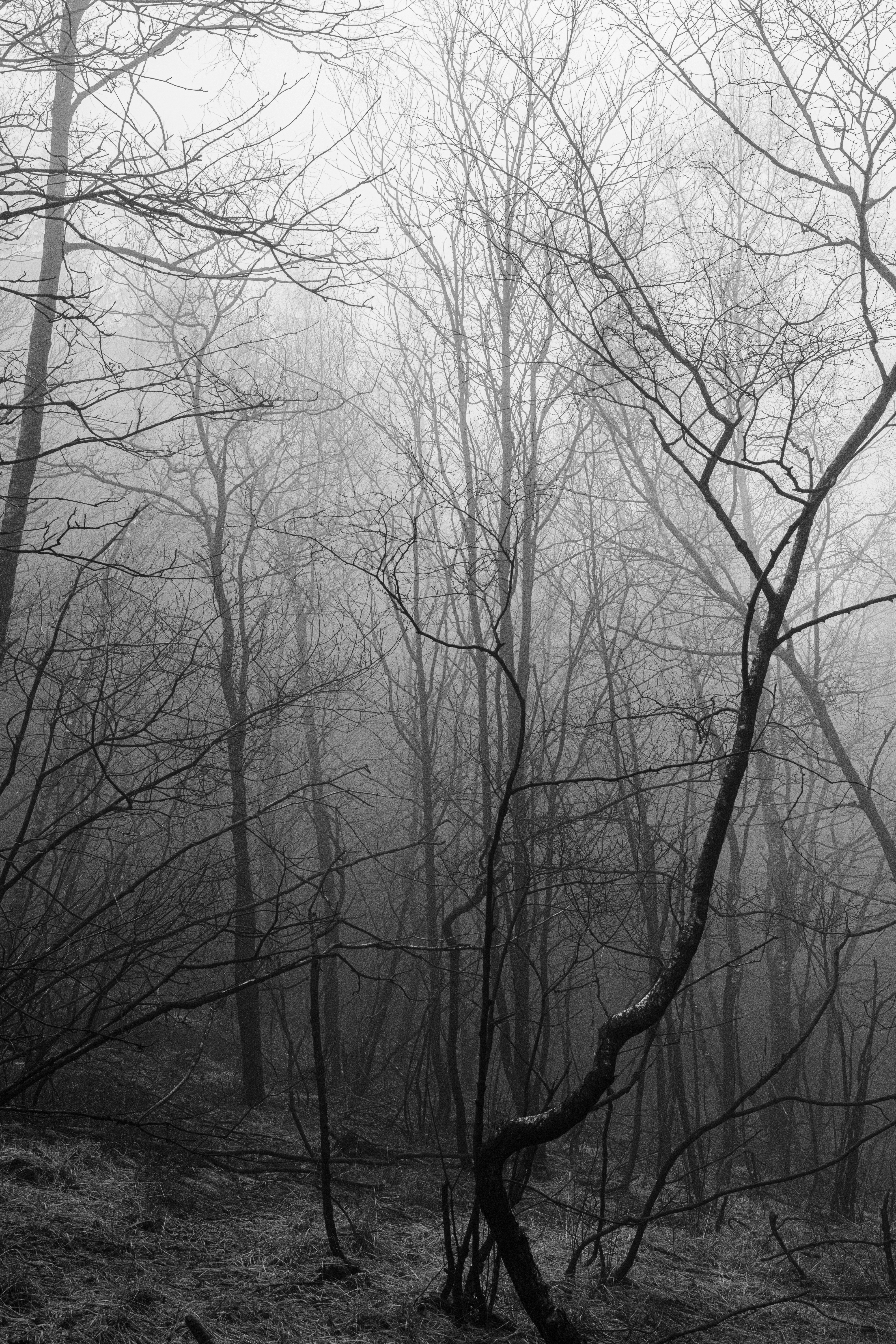 Photo by wilhelmgunkel