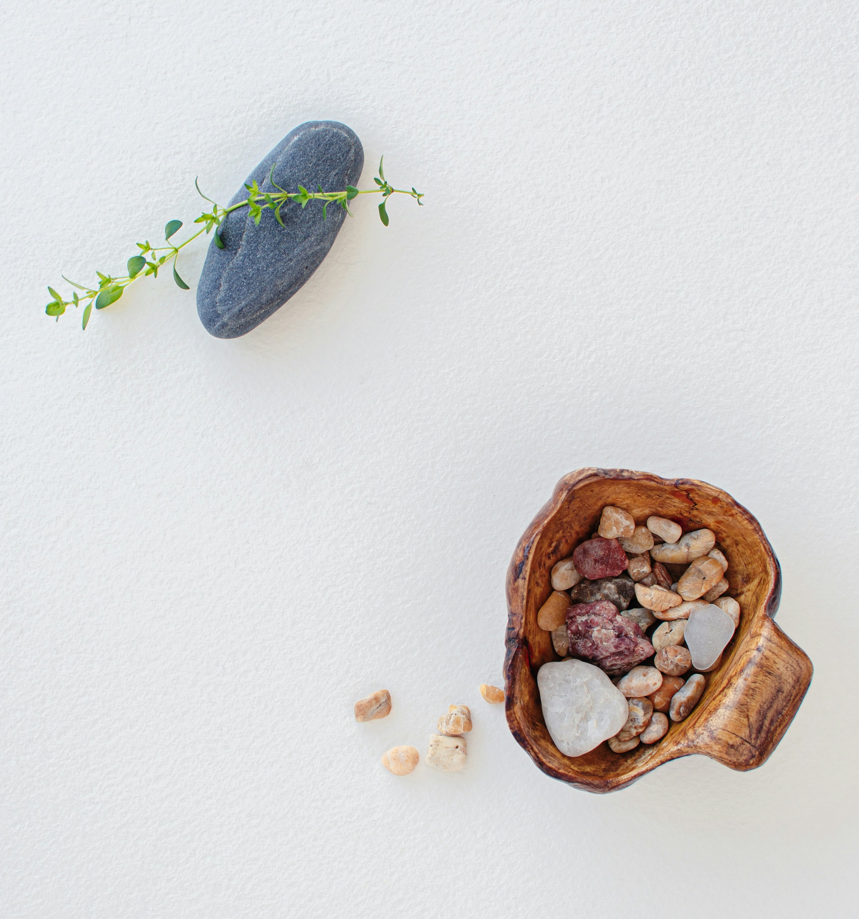 Photo by marnierochester