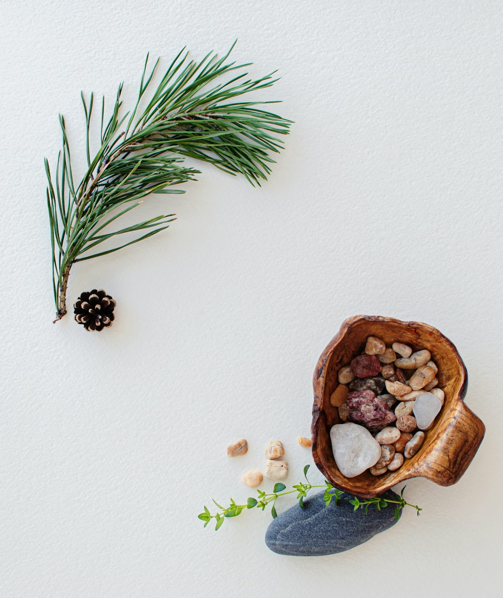 blue berries on brown wooden bowl