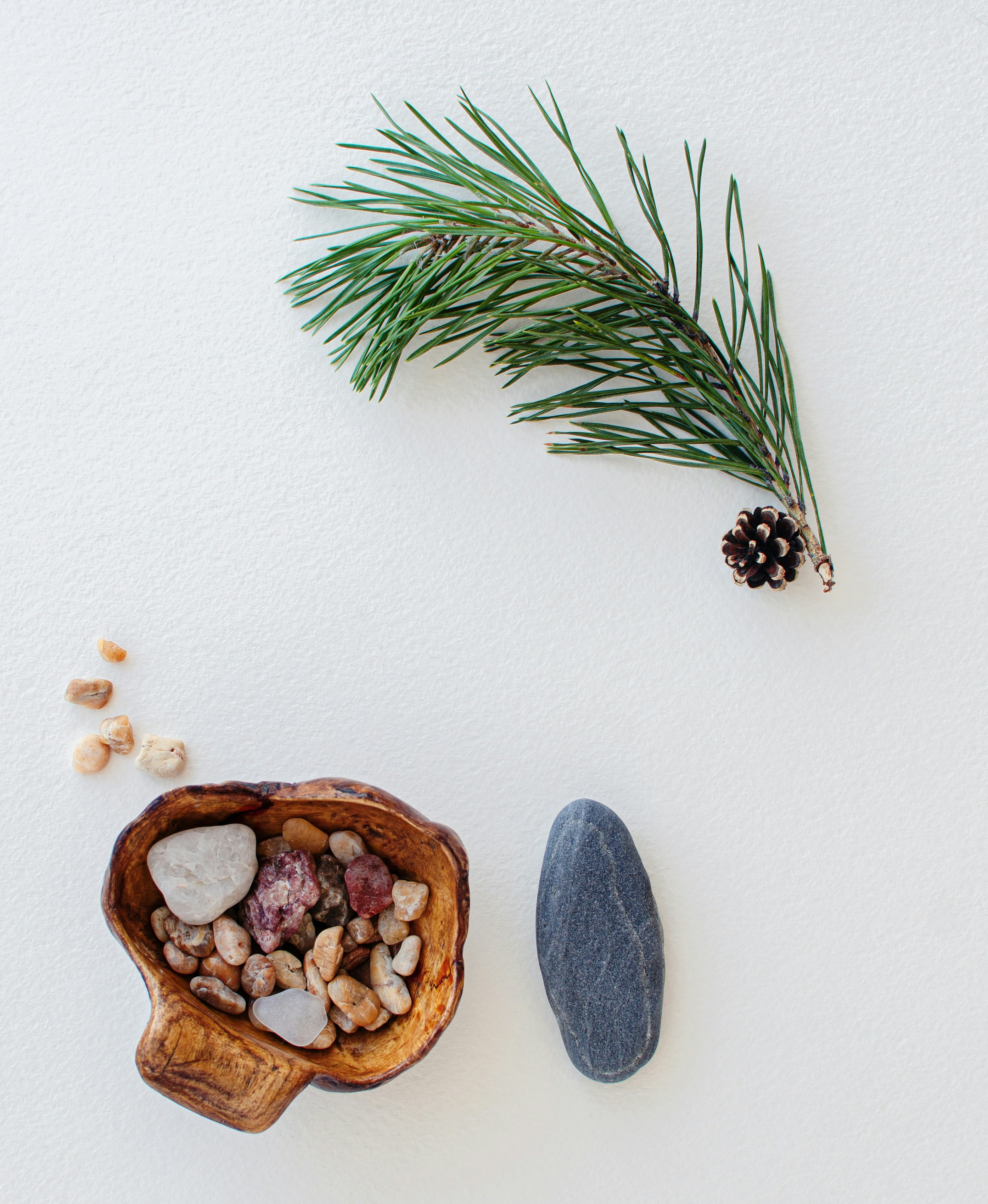 Photo by marnierochester