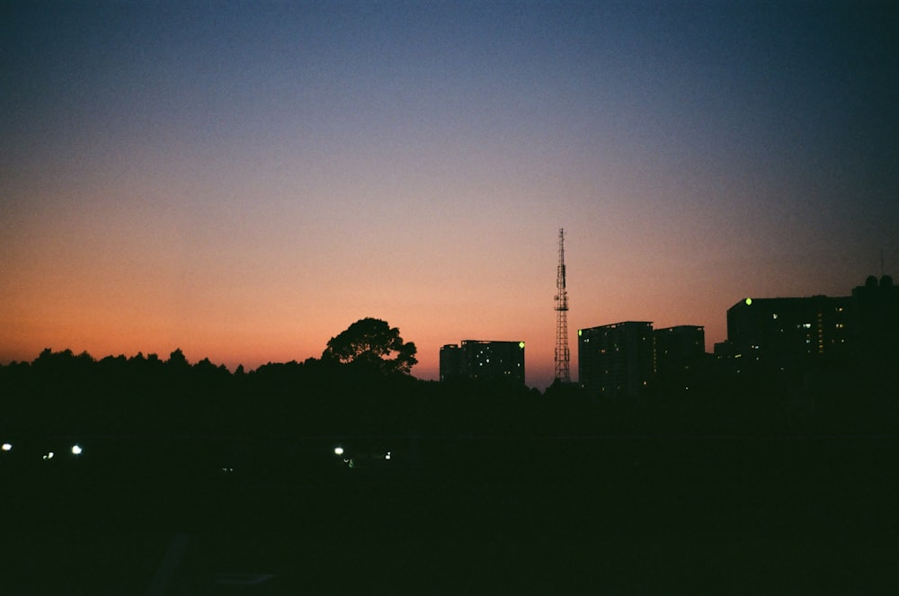 silhouette of trees during sunset