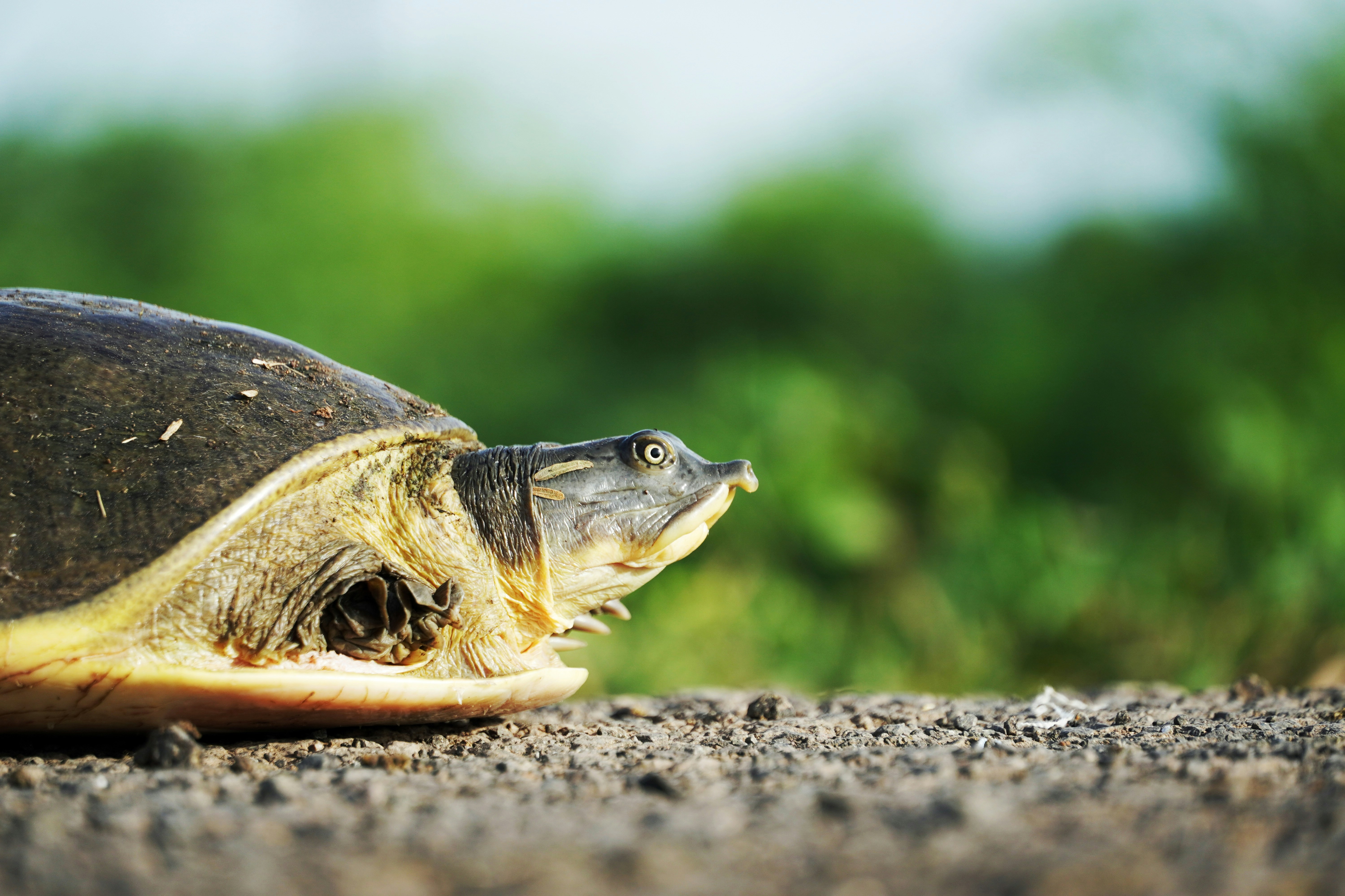 Photo by mr_karangia