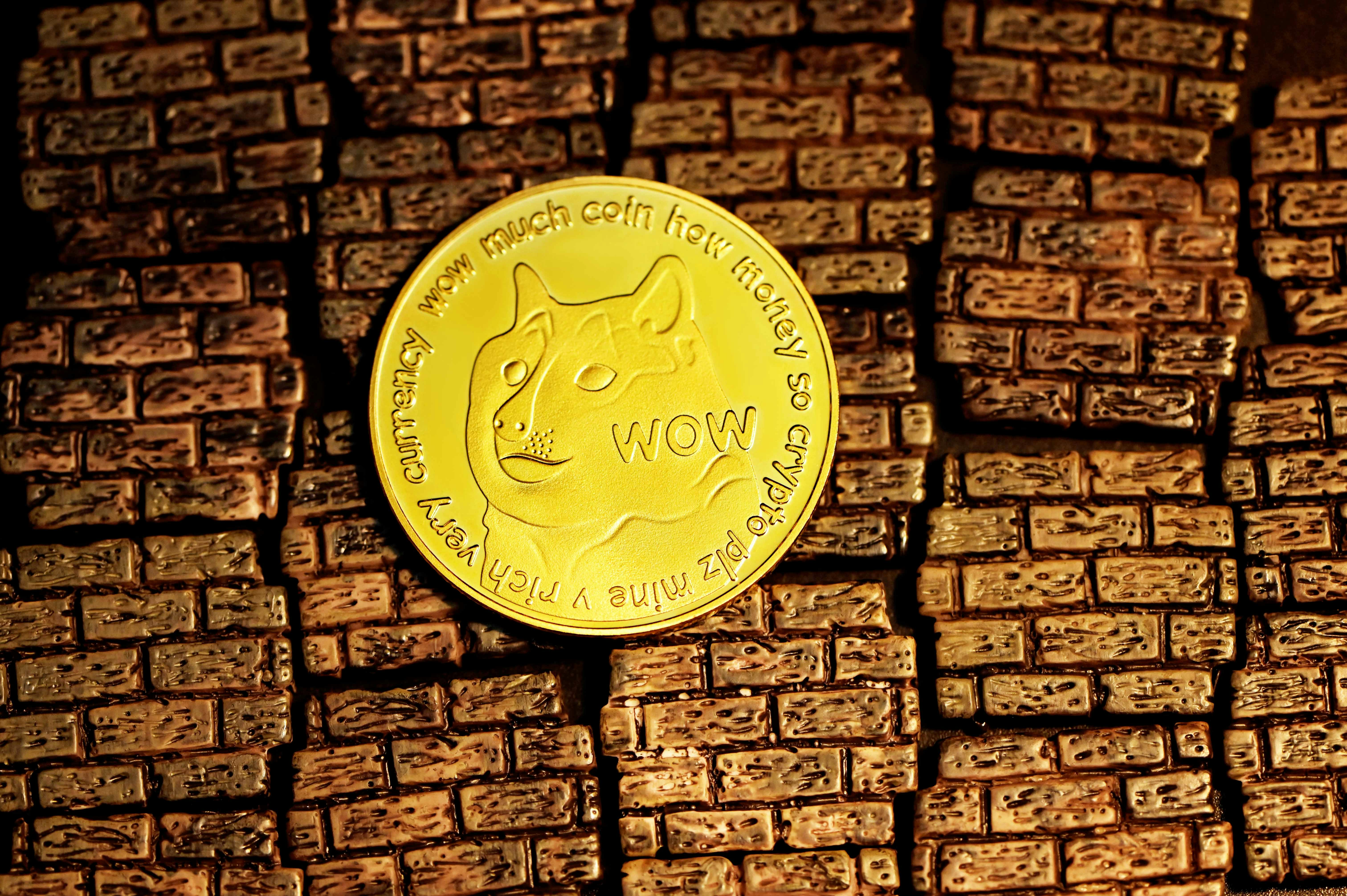 A shiba dogecoin placed on the bricks