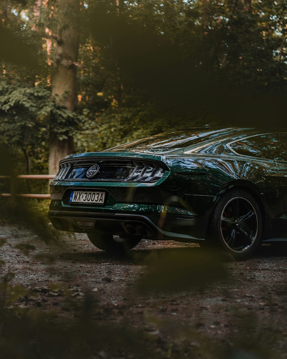 black bmw m 3 coupe on forest