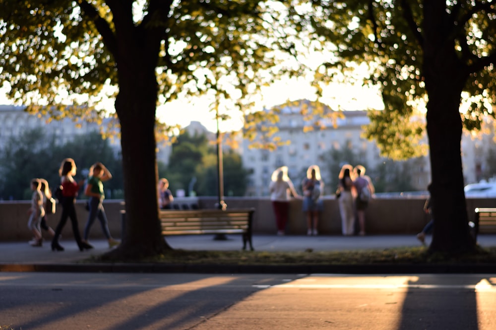 people walking on park during daytime