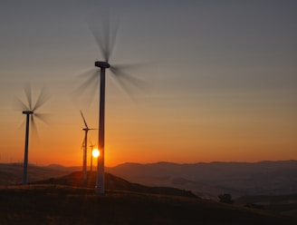 silhouette of street light during sunset