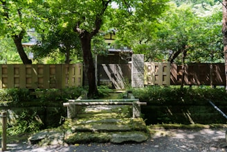 A serene Japanese garden scene inspiring product design.