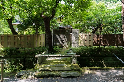 A serene Japanese garden scene inspiring product design.