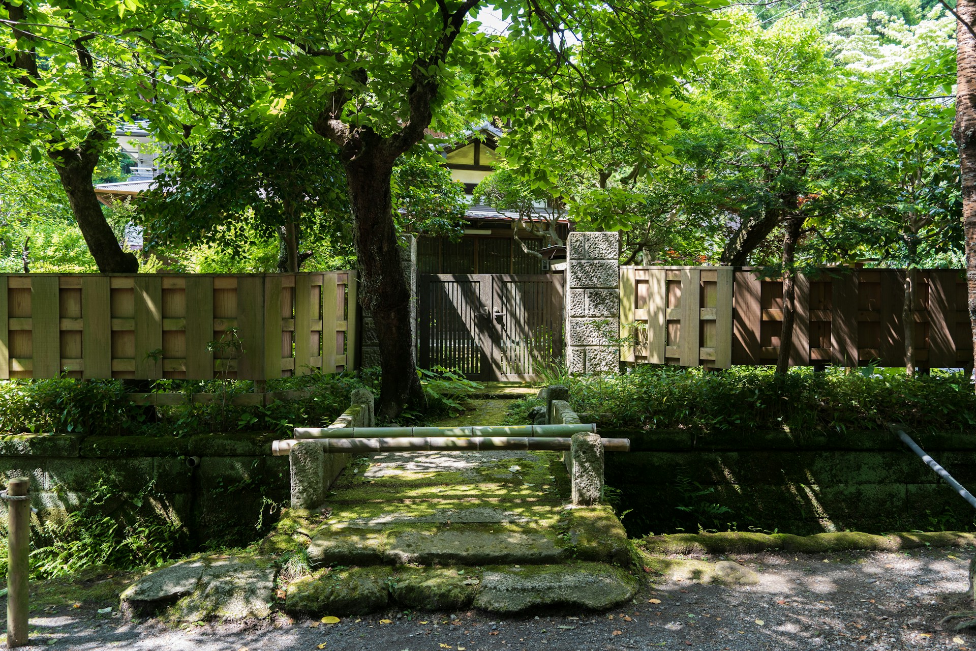 woman wearing yellow long-sleeved dress under white clouds and blue sky during daytime