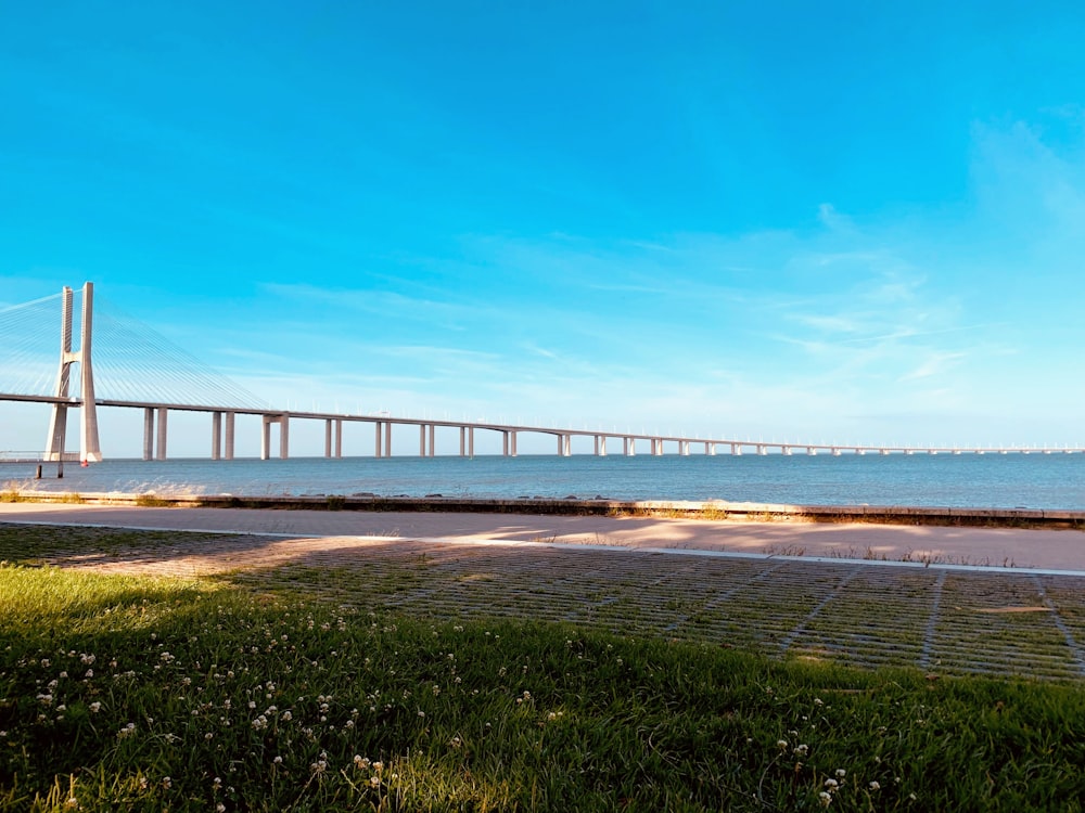 white bridge over the sea during daytime