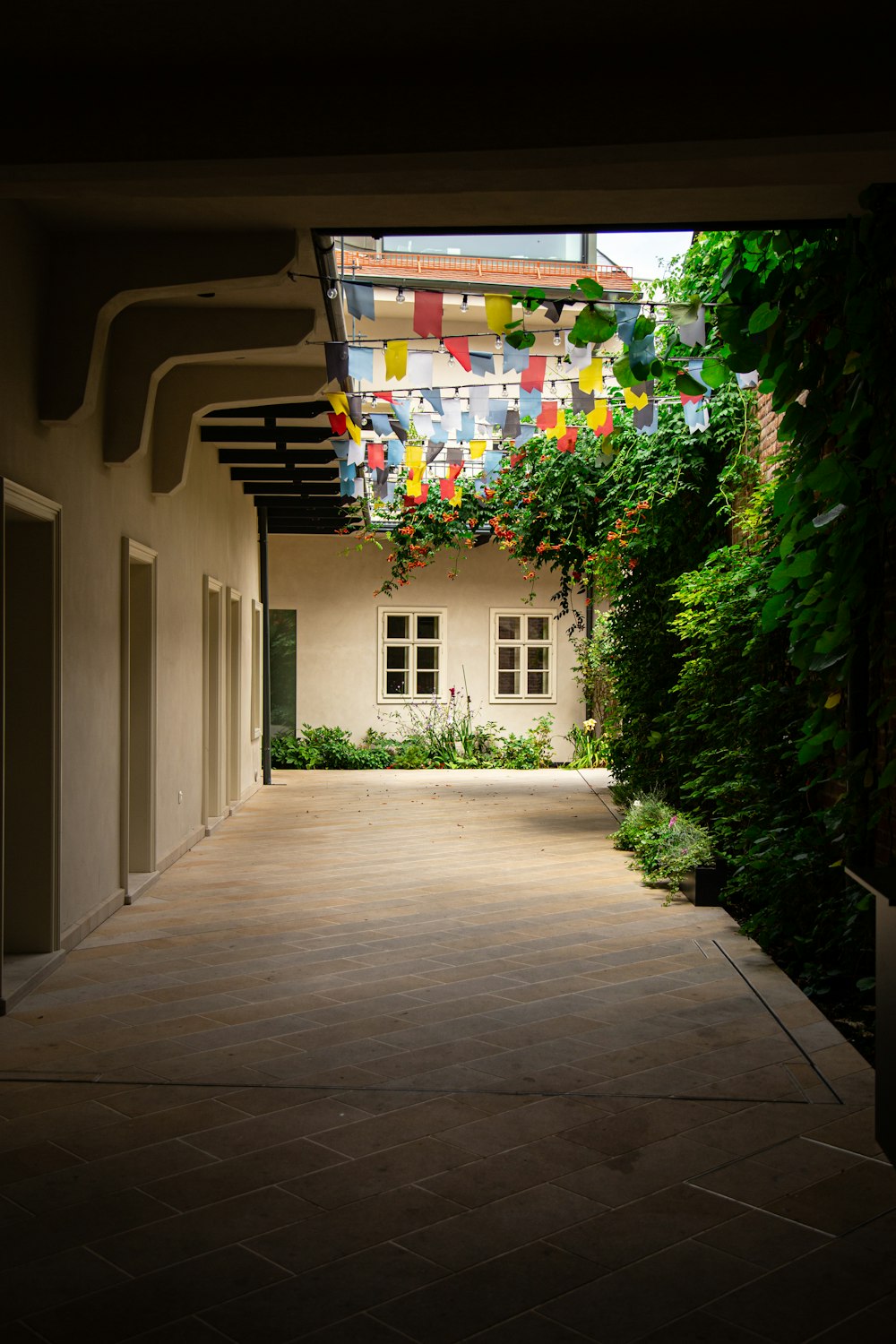 green plants on white concrete building