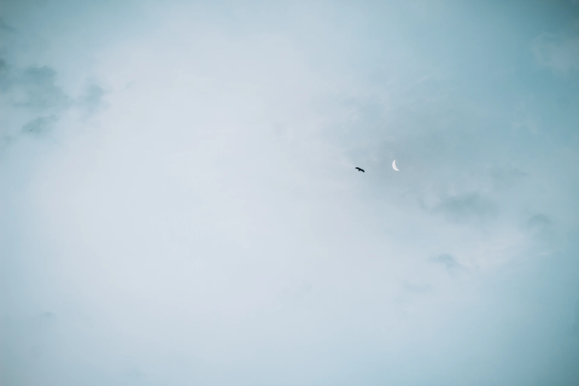 airplane in mid air under cloudy sky during daytime