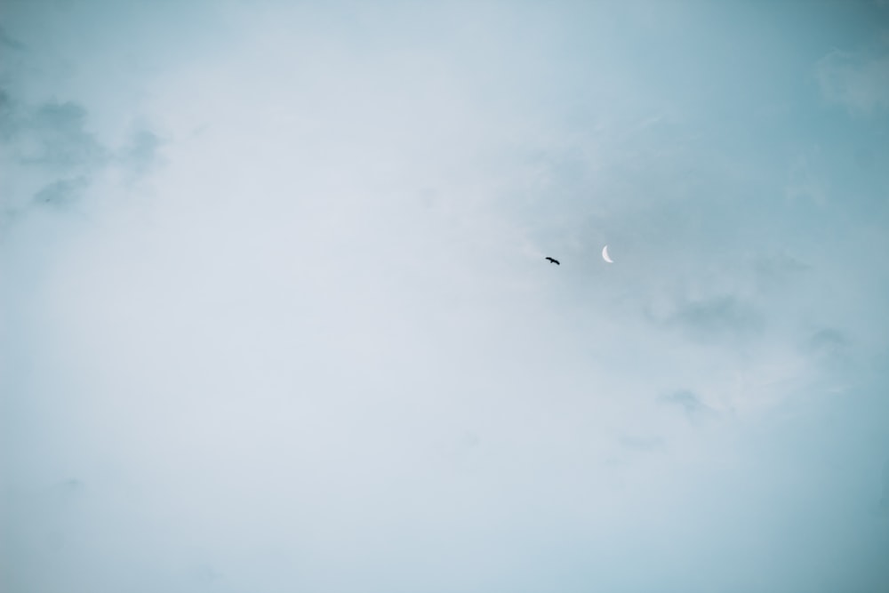 airplane in mid air under cloudy sky during daytime