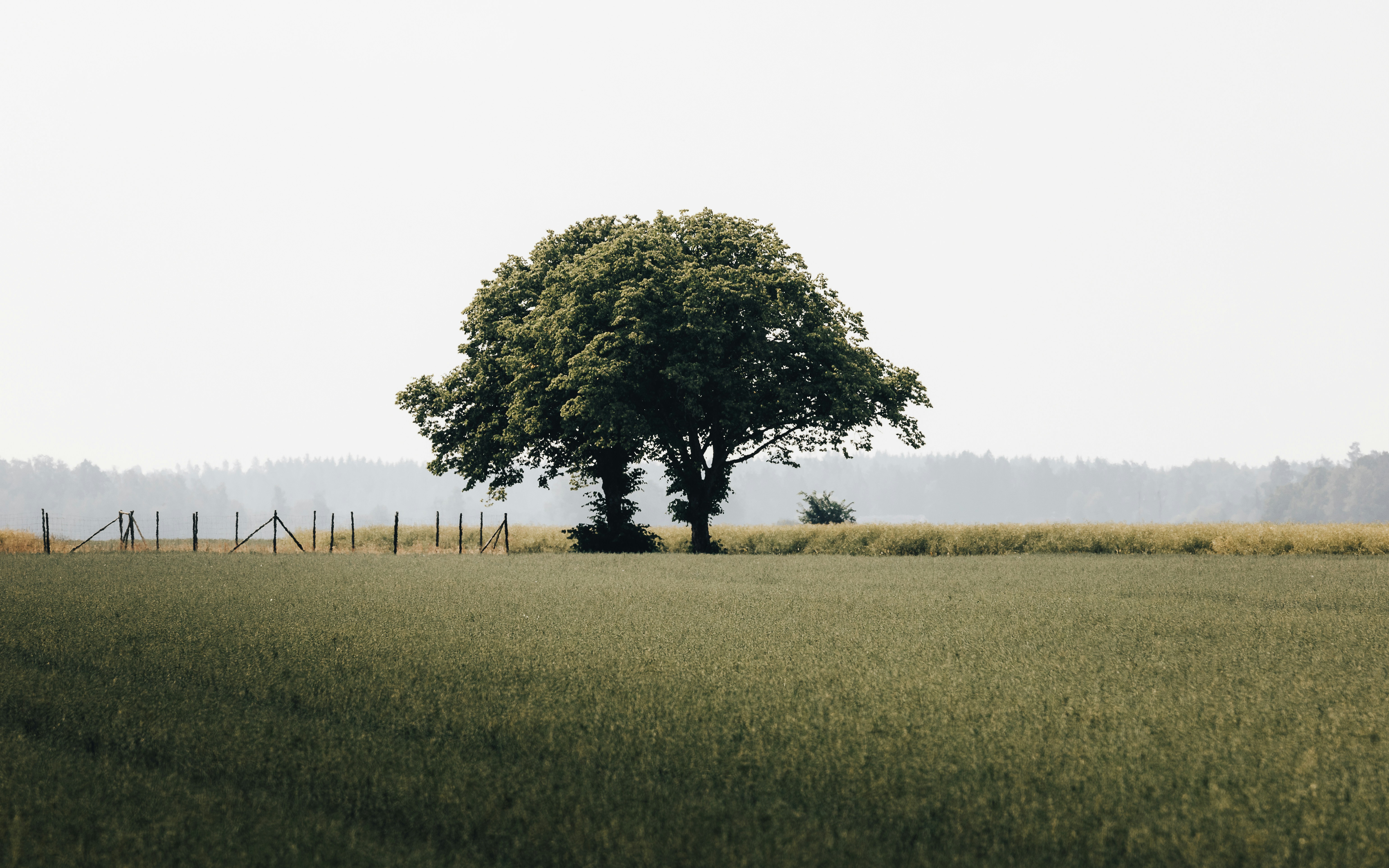 Understanding Estate Probate Law in Wisconsin Your Comprehensive Guide