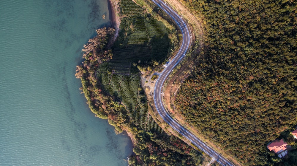 aerial view of green trees and road beside body of water during daytime