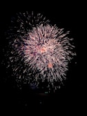 A vibrant display of fireworks illuminates the night sky with bursts of colorful light and intricate patterns.