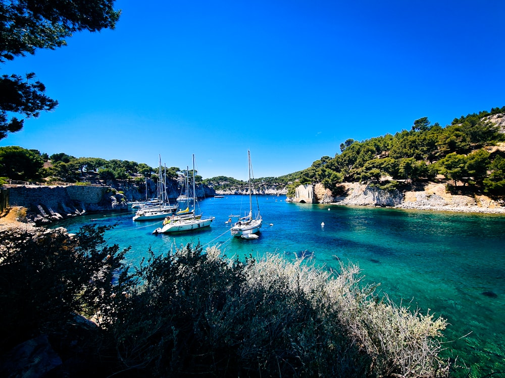 white and blue boat on body of water during daytime