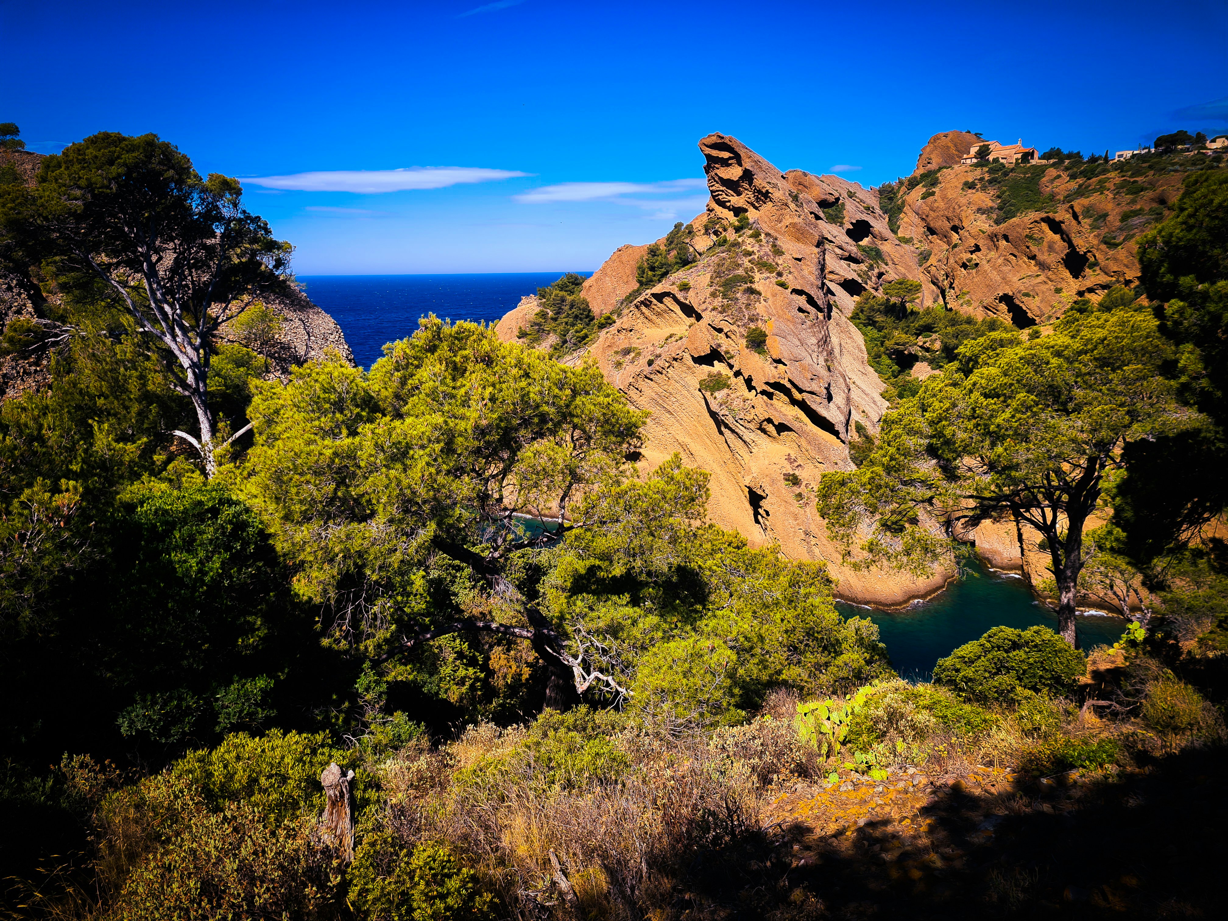 brown rock formation near green trees during daytime