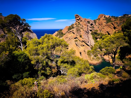 brown rock formation near green trees during daytime